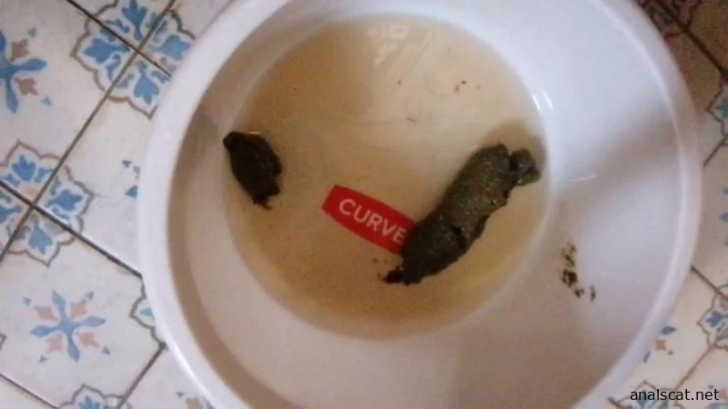 Bitchs Meal Shit P1 (2025 | HD)