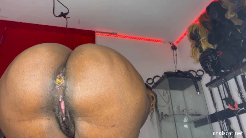 Toilet Seduction Dungeon Edition - MistressMystique (2025 | HD)