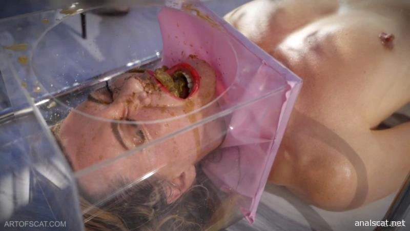 THE BOX - QS, NAZRYANA (2025 | FullHD)