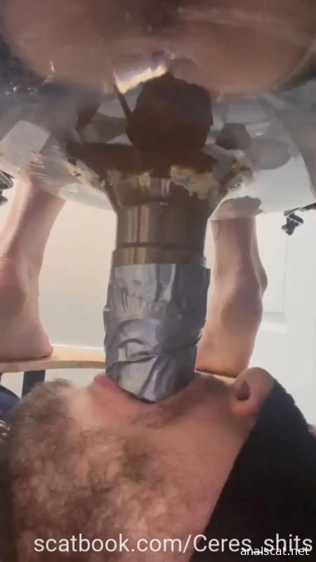 Toilet Annihilation with Goddess Ceres P1 (2025 | SD)