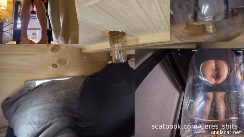 The Ultimate Human Toilet Setup Configuration » Mixfemdomcc - Latest Femdom Porn for Online Streaming - Goddess Ceres (2025 | FullHD)