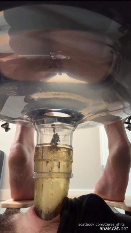 Five Levels of Shit » Mixfemdomcc - Latest Femdom Porn for Online Streaming - Goddess Ceres (2025 | SD)