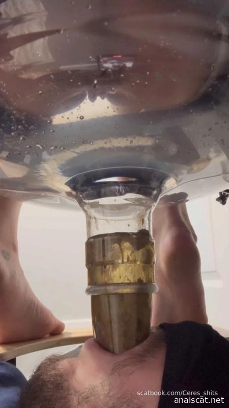 Human Toilet's First Malfunction Infinite Shit Down Your Throat » Mixfemdomcc - Latest Femdom Porn for Online Streaming - Goddess Ceres (2025 | SD)