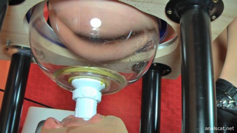 Feth-033 The Human Toilet Strict Teacher (2025 | SD)