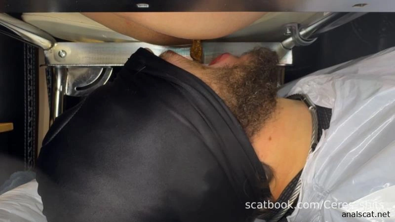 2025-11-15 - Shit I Took The Other Night - Direct - Goddess Ceres (2025 | FullHD)