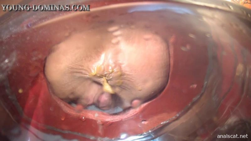 The Poop Barril Part 3 HD. P1 (2026 | HD)