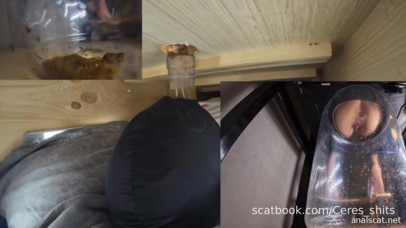 The Ultimate Human Toilet Setup Configuration 2 P1 (2026 | FullHD)