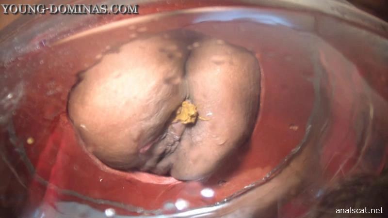 The Poop Barril Part 2 HD Britany. P1 (2026 | HD)