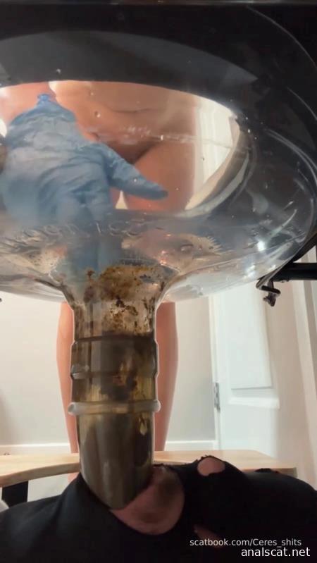 24 Minutes of Daily Toilet Slave Destruction P1 (2026 | SD)