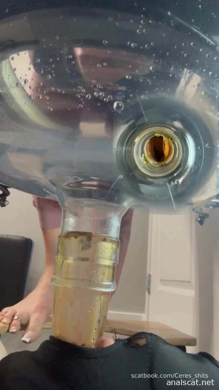 Septic Tank Almost Fails P1 (2026 | SD)