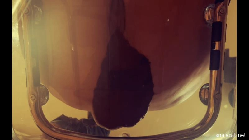 Poop in transparent chair (2026 | HD)