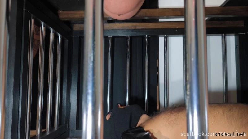 My Poop In His Mouth » Mixfemdomcc - Latest Femdom Porn for Online Streaming - MISS DULA (2026 | FullHD)