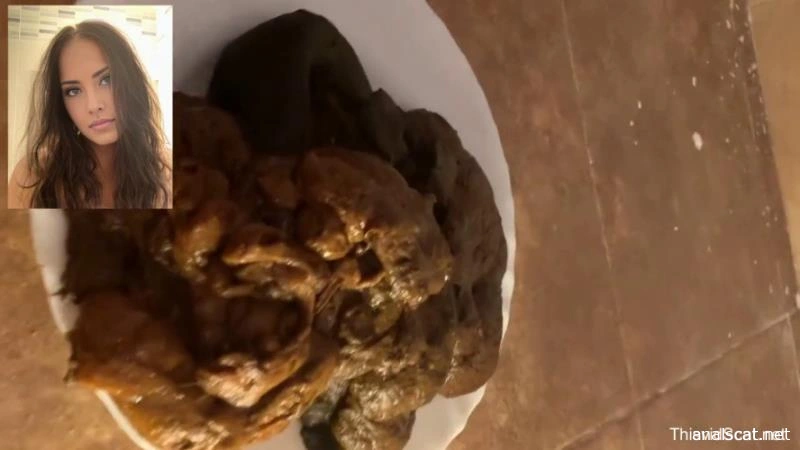 A huge pile of shit goes into the toilet. P1 (2026 | HD)