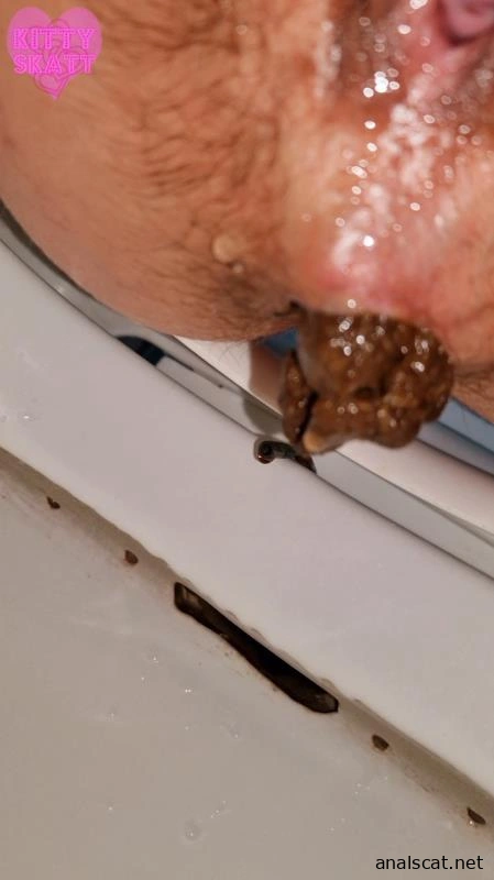 Four unflushable logs (2026 | SD)