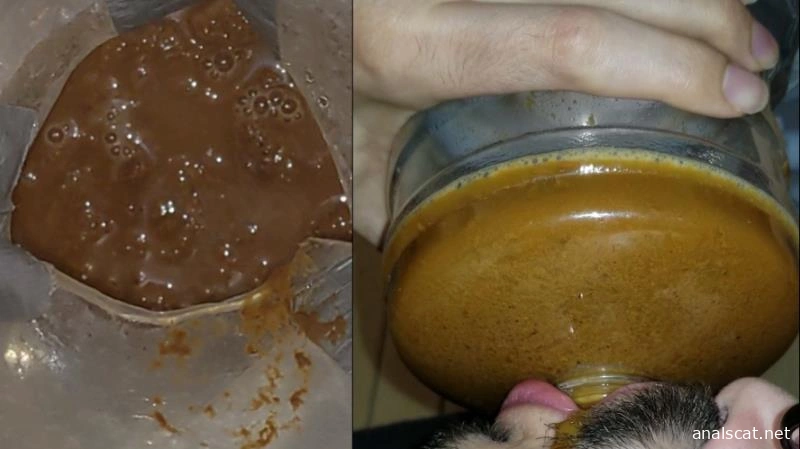 1 LITER PEE on fresh HUGE DUMP (2026 | HD)