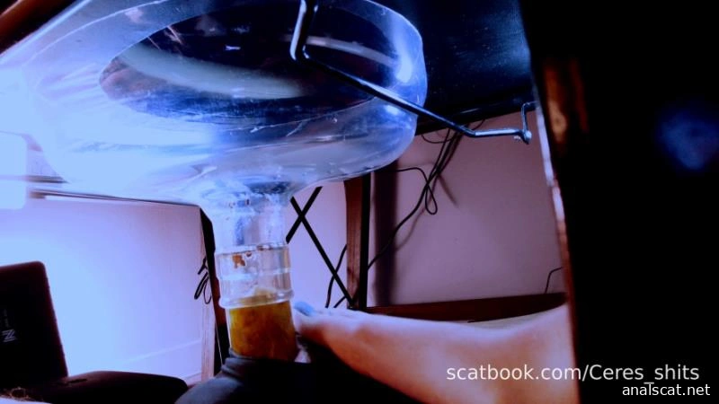 A Private Session with My Toilet (2026 | FullHD)