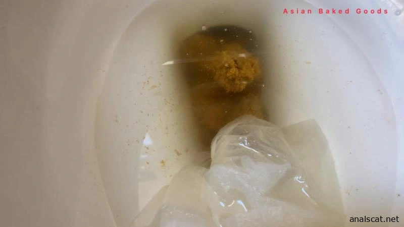 Shit pee moan on the toilet (2026 | FullHD)