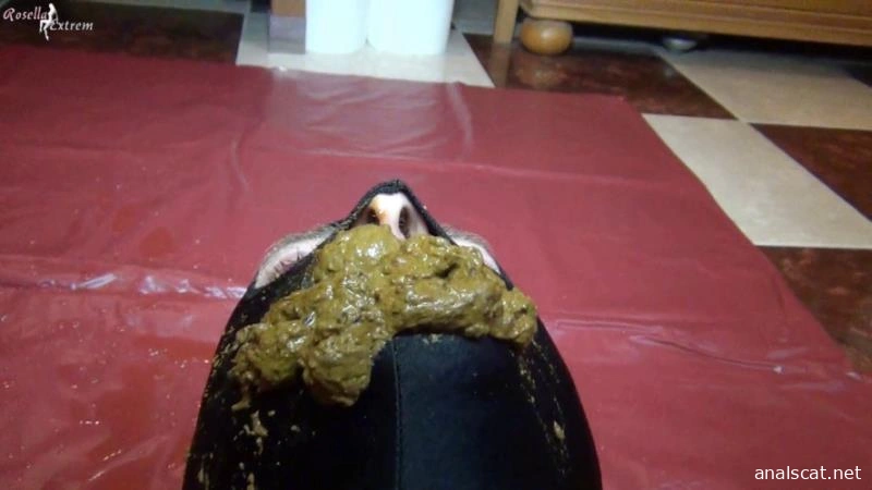 Slave in doggystyle, pooping, in his mouth - RosellaExtrem (2026 | FullHD)