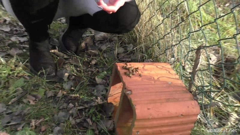 Compilation Dump Set 177 Videos P16 - HotDirtyIvone (2026 | FullHD)