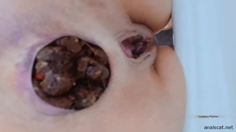 Constipated Dose In Your Mouth - Goddess Panther (2026 | FullHD)
