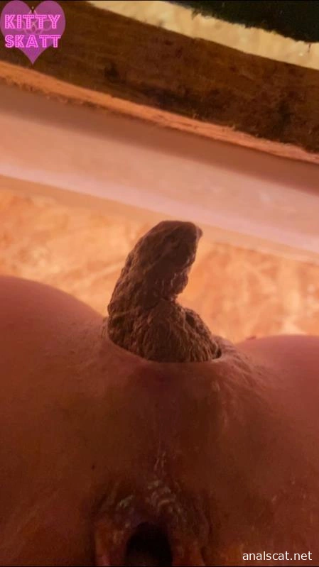 POV hookup in festival toilet - Kitty Skatt (2026 | SD)