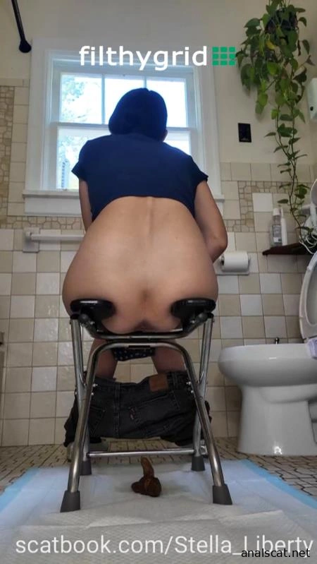 Number Two with the Toilet Chair (2026 | SD)