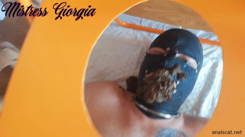 morning shit » Mixfemdomcc - Latest Femdom Porn for Online Streaming - Mistress Giorgia (2026 | FullHD)